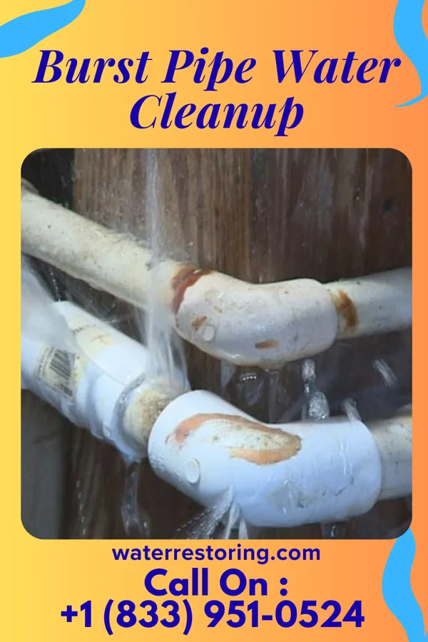 Burst Pipe Water Cleanup in Fulda, MN
