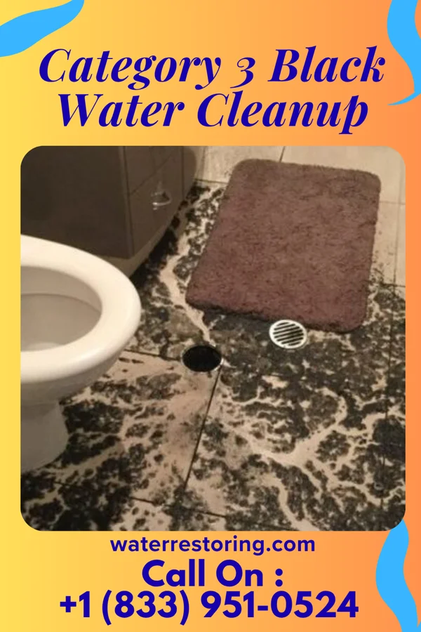 Category 3 Black Water Cleanup in Fulda, MN